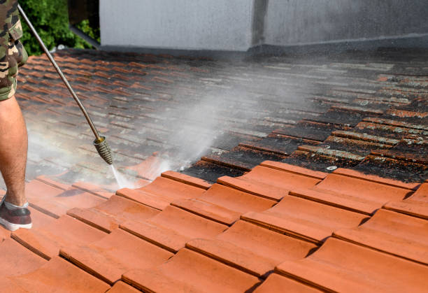 Best Pressure Washing Services Near Me  in Boulder Hl, IL